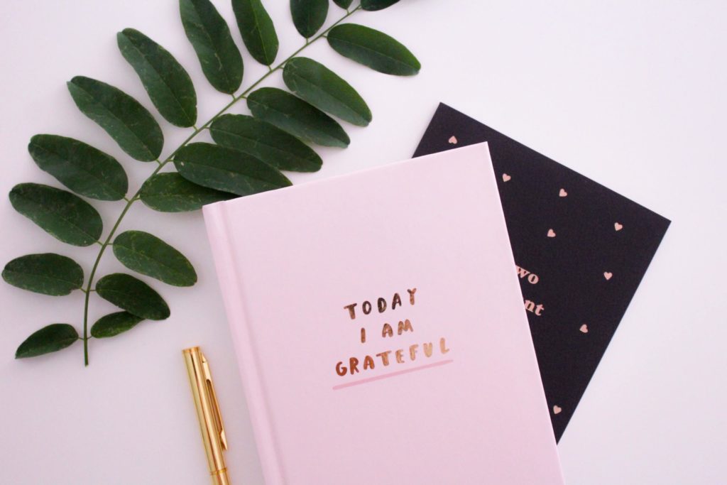 Pink notebook with a plant leaf